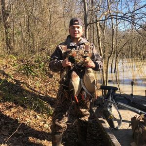 Meet your Posher, Cameron